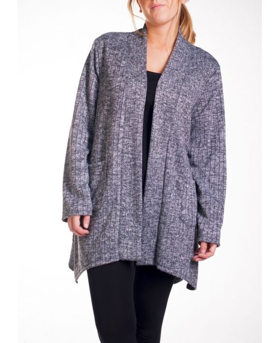 GRAN TAMAÑO DE LA CHAQUETA/CHALECO 2 BOLSILLOS 4260B GRIS